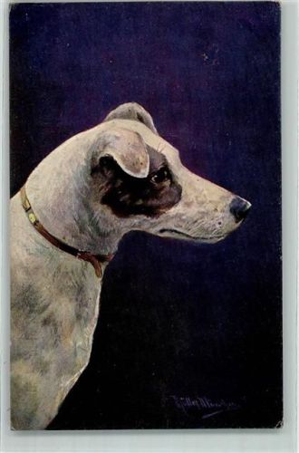 1900 Serie 1193 Rassehunde Verlag Koch & Bitriol Dresden sign. Aug. Müller München