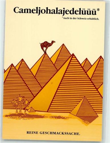Camel