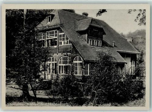 Bärenfels Schullandheim Waldwiese