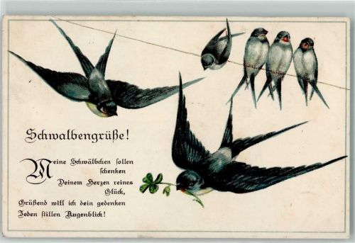 1917 Gedicht Schwalbengrüße Poesie / Liebe AK