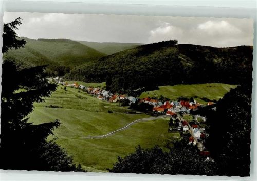 Lonau Blick vom Heuer