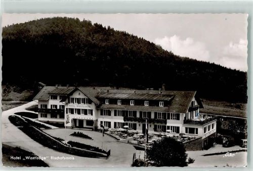 Bischofsmais Bahnpost Regensburg Passau München Zug 1413 24.6.1957 Hotel Wastlsäge