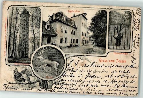 83367 W8229 Sondershausen 1904 - Aussichtsturm Jagdschloss Bärenzwinger Hirsch Auerhahn am Possen
