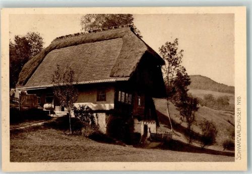 Schwarzwaldhaus Nr. 5 AK