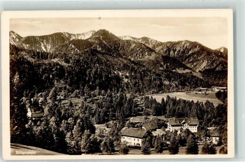 Birkenstein Aufforstung