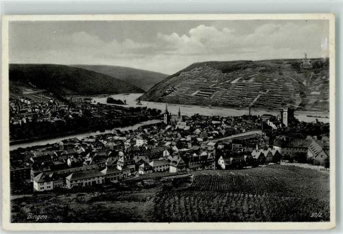 Bingen Nahe-Mündung