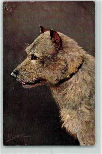 Heeler Müller jun. (München) Künstlerkarte