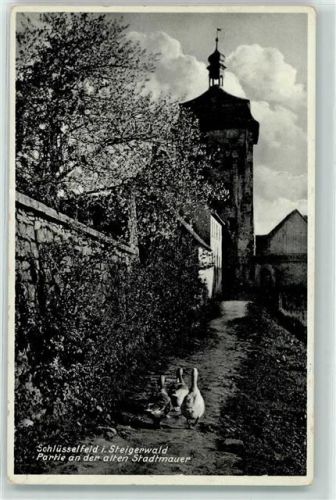 96132 W8602 Schlüsselfeld - Alte Stadtmauer Stadtmauerturm Gänse Bahnpoststempel Zug 57