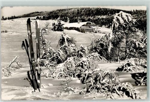 Bischofsmais Landshutter Haus Skier Winter