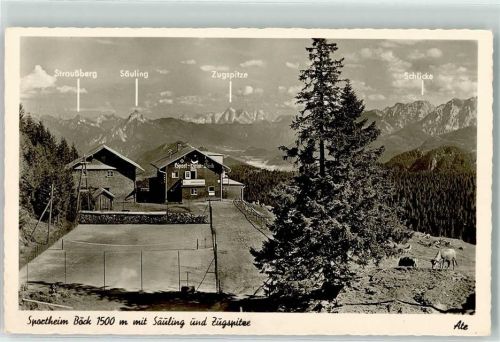 Nesselwang Sportheim Böck Sportplatz Säuling Zugspitze Kühe