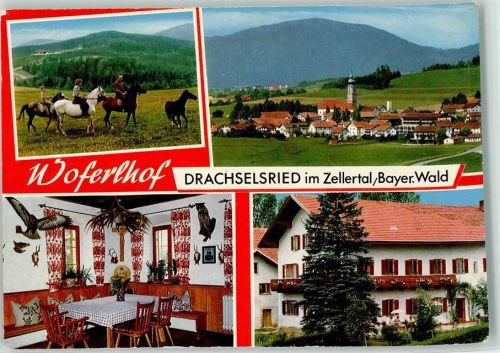 Drachselsried Bauernhof Woferlhof