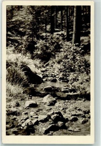 Tabarz Lauchagrund Waldbach