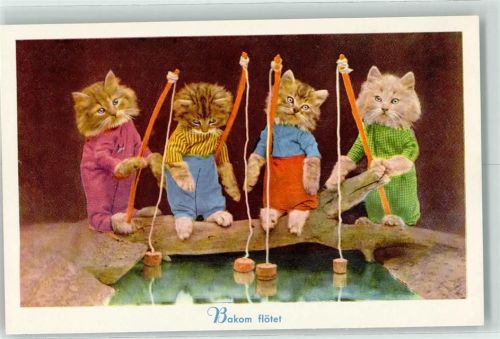 Katzen Kleider Angeln Kissemiss Serien Nr.1128