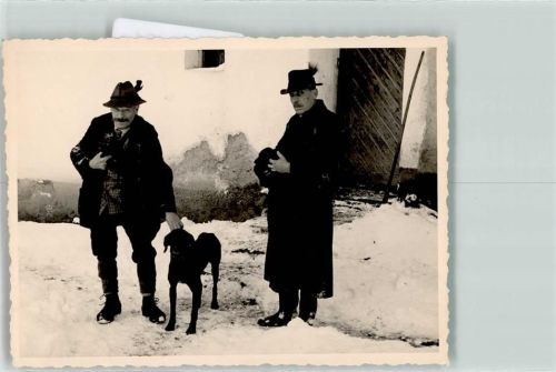 Bracke Jäger Winter