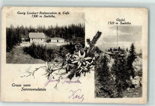 Semmering-Kurort 1920 Georg Lindner Gasthaus u. Cafe Sonnwendstein