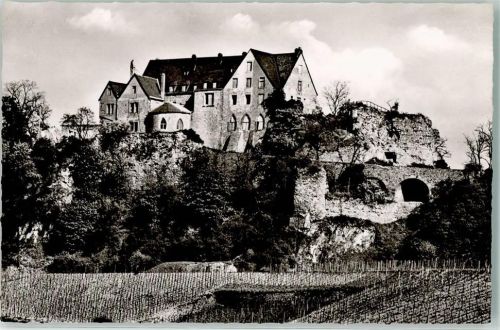 Bad Münster-Ebernburg Ebernburg Weinreben
