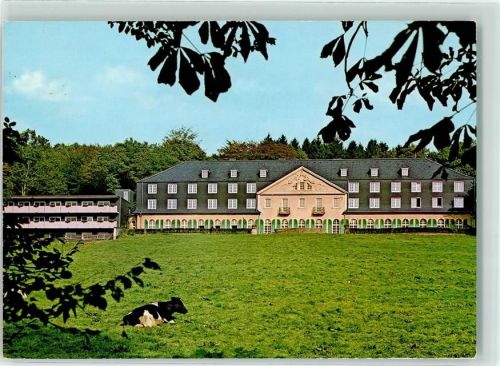 Dabringhausen Familienferienstätte Haus Maria in der Aue Kuh