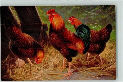 Gold Wyandottes TSN Serie 1607 Huhn Künstlerkarte