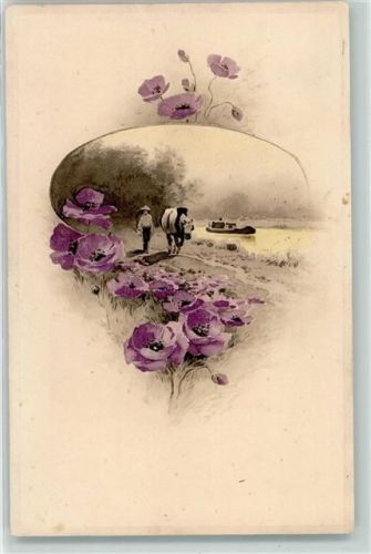 1906 Postkartenserie 1371 Wo Blumen blühn Ochse