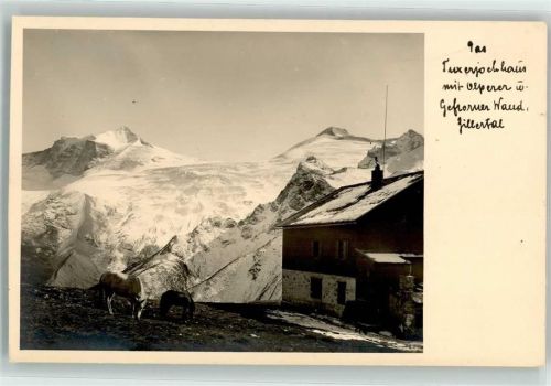 Tuxerjochhaus Zillertal Schnee Eis Pferde