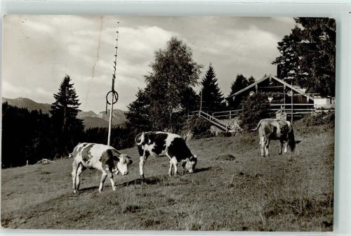 Waldherralm Gebrauchsspuren Hüttenstempel Kühe Foto AK