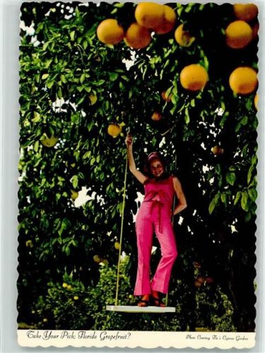 Früchte Florida Grapefruit AK Landwirtschaft