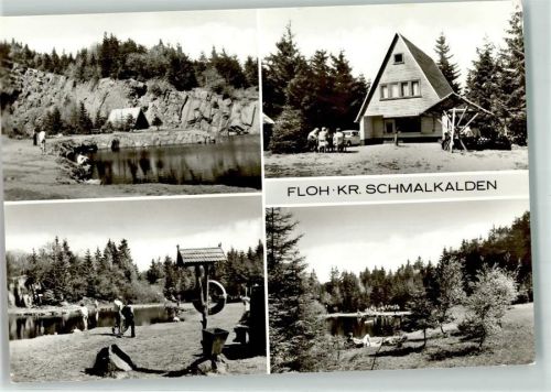 Floh Bergsee Höhnberg