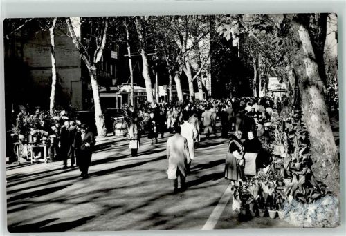 Barcelona Rambla de las Flores Straßenbahn