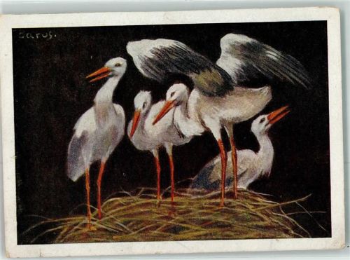 Im Nest sign.Carus