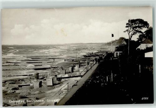 Sorenbohm Strand Strankorb