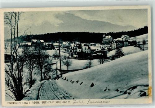 Brückenberg Winter