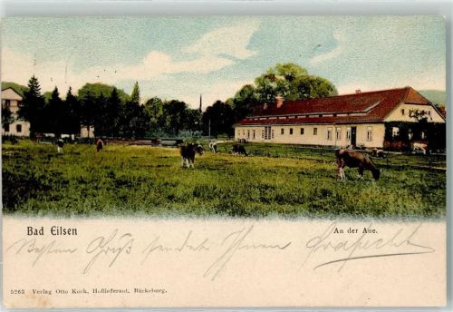 Bad Eilsen 1907 An der Aue Rinderweide