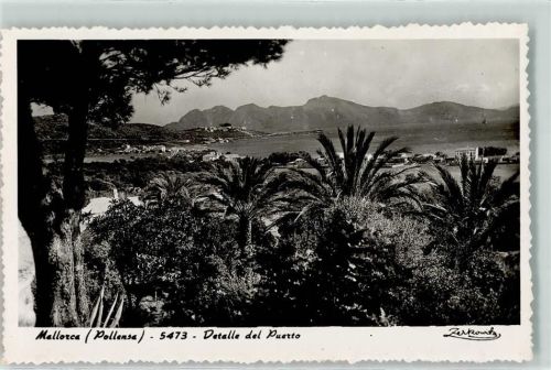 Pollenca Detelle del Puerto