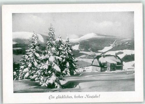 Schneekoppe Ein Glückliches frohes Neujahr Winter Schnee