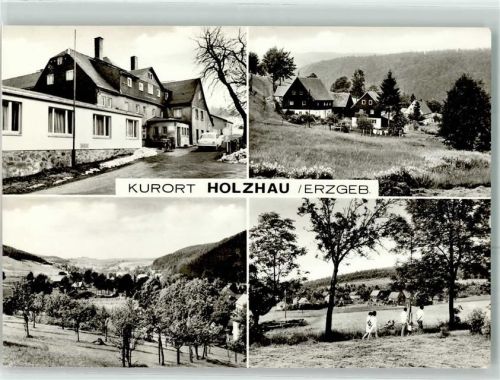 Holzhau
