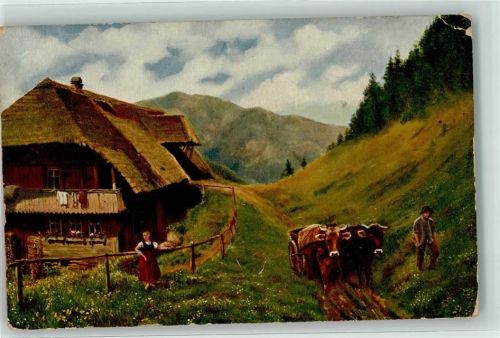 Werktag im Schwarzwald Schwarzwaldserie I Nr 6