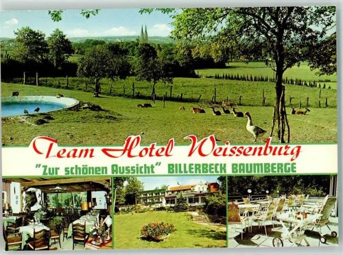 Billerbeck Team Hotel Weissenburg Zur schönen Aussicht Enten Schafe