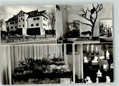 Bad Frankenhausen Kreisheimatmuseum Exponate