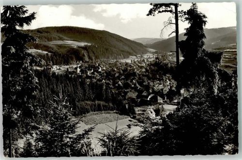 Steinwiesen