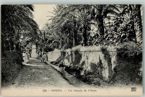Biskra un Chemin de l´Oasis