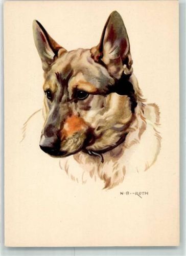 sign.N.B.Roth Verlag Flechsig Nr.6701 Schäferhund Künstlerkarte