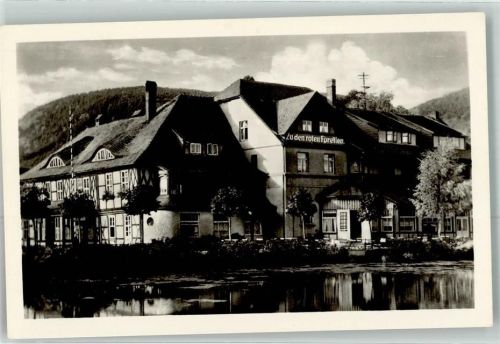 Ilsenburg HO-Hotel Zu den roten Forellen