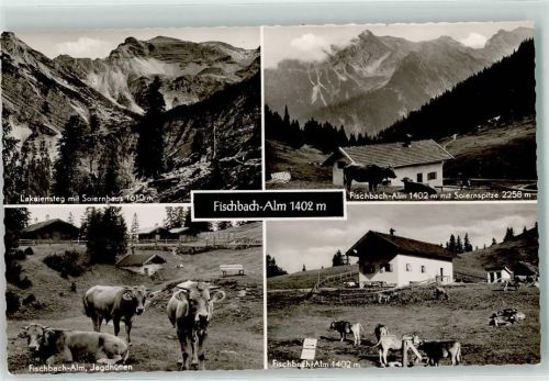 Krün Fischbach Alm Soiernspitze Rinderweide Lakaiensteg Soiernhaus