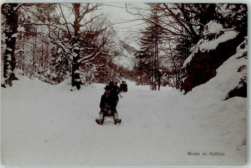 Rodeln im Halltal