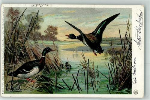 1901 Flugenten Verlag Neuber Waidmanns Heil Serie 48-5