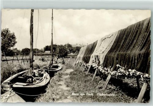 Born Fischerhafen Fischerboote Fischernetze