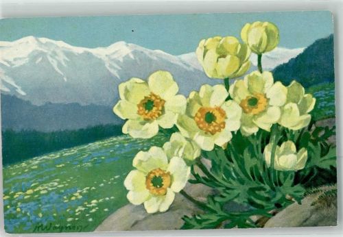 sign.Wagner A. Trollblume