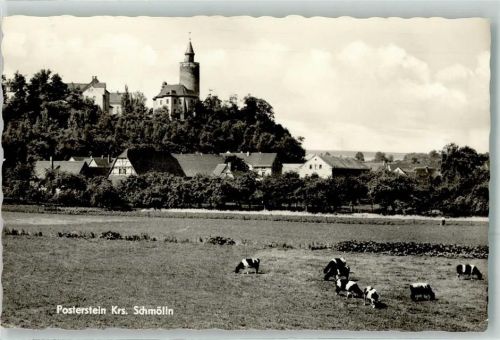 Posterstein Kühe