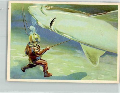 Taucher im Kampf mit einem Hai Sanella Bilder Sammelwerk Mittel und Südamerika Nr.79