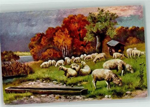 T.S.N Serie 1854